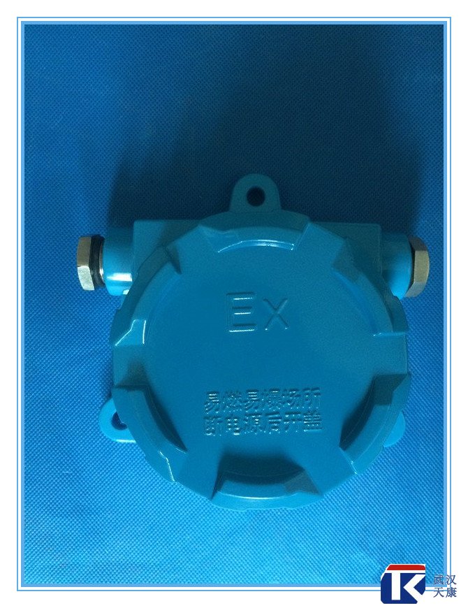 壁掛式防爆熱電阻/pt100、4-20mA輸出
