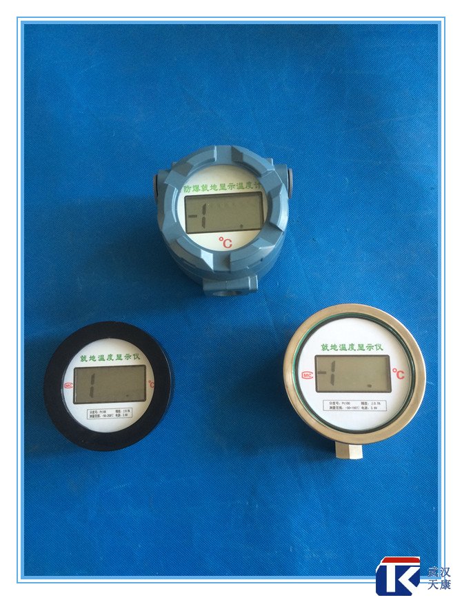 無源數(shù)顯溫度傳感器、無需外接電源、鋰電池供電